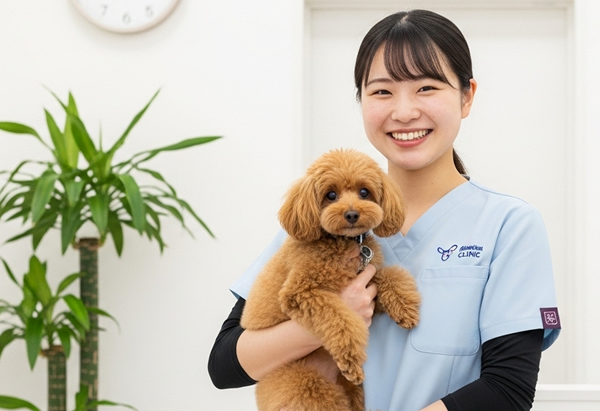 愛玩動物看護師