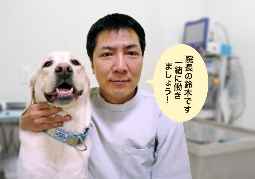 フラットなコミュニケーションがとれる、風通しの良い職場です