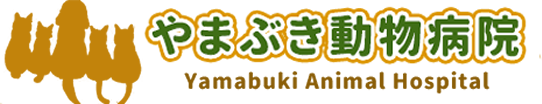 やまぶき動物病院