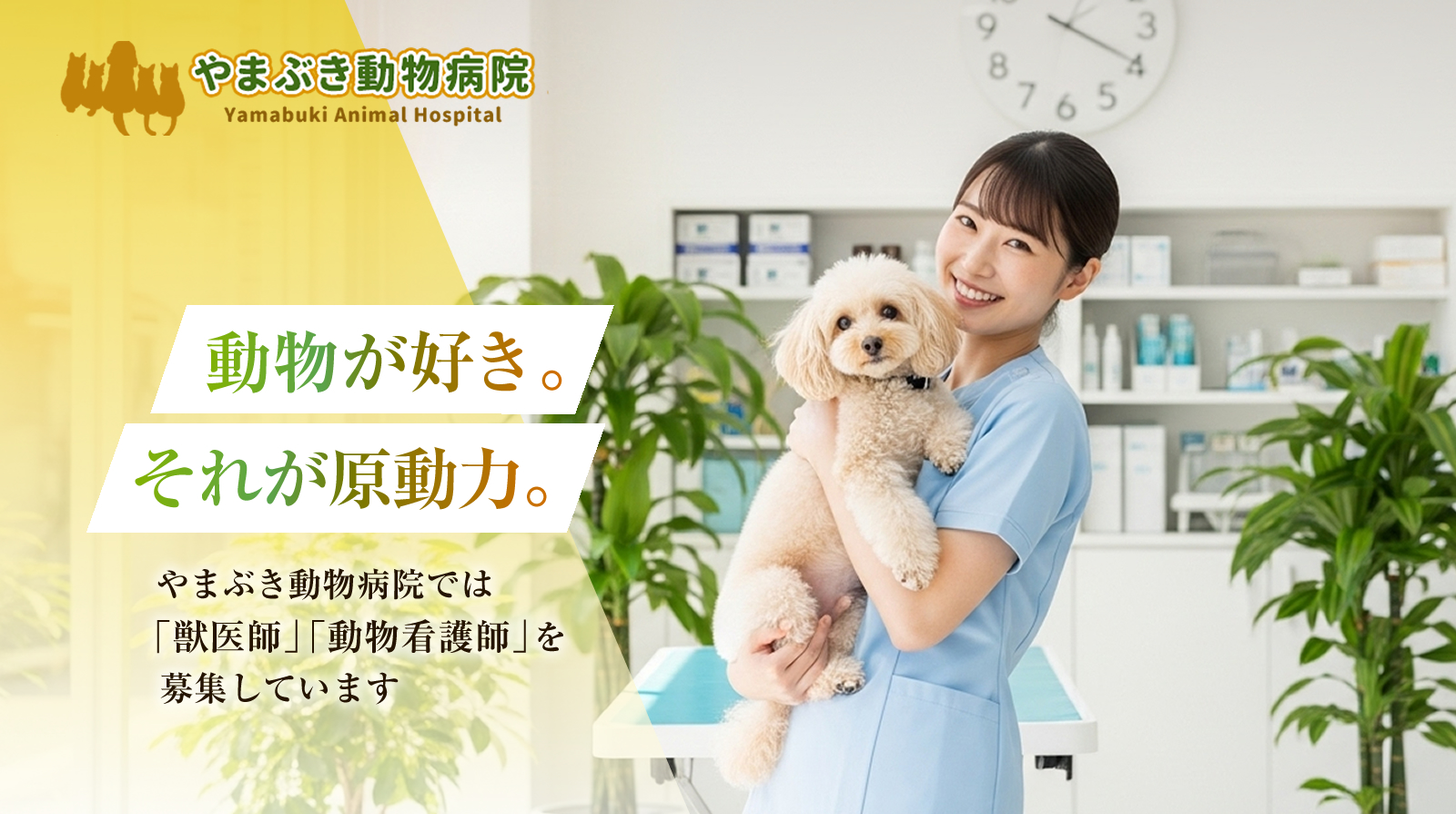 愛玩動物看護師の求人情報