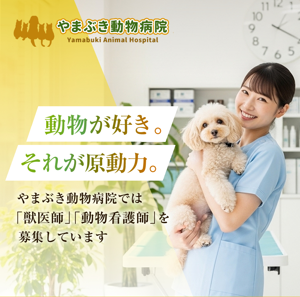 愛玩動物看護師の求人情報